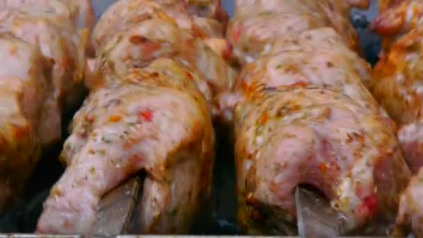 Приготування смачного м'ясного барбекю на шампурах, смаженого м'яса на шампурах, вуличної їжі, м'яса, що обертається на шампурі — стокове відео