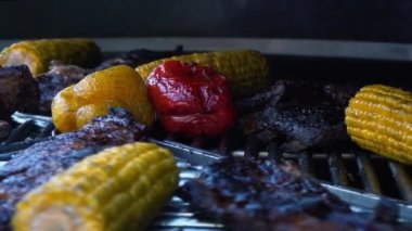 Kuzu pirzola ve sebze döner ızgara, et ve mangal, ağır çekim Mısır