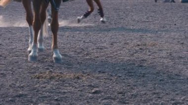 Ayak vasıl eğitim alan, ayakları yere, ağır çekim dört nala gidiyorum aygır close-up kum üzerinde çalışan at