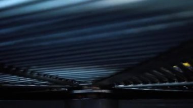 Kuzu pirzola ve sebze döner ızgara, et ve mangal, 4k Mısır