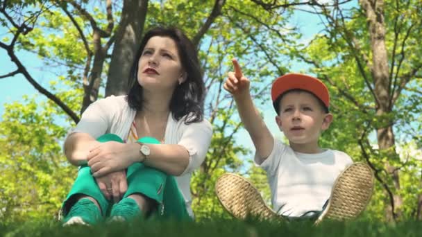 Moeder en zoon in de verte kijken en praten tijdens de vergadering in het park op het groene gras, vakantie met het gezin — Stockvideo