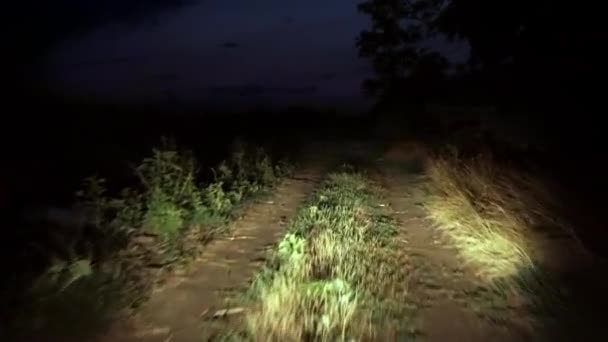 大灯照亮了道路 汽车在田野的土路上行驶 越野车 城外的路 道路能见度低 — 图库视频影像