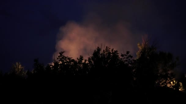 Un feu de forêt. Le feu détruit les arbres et les animaux forestiers. Incendies dans les forêts d'Amazonie et de Sibérie. Catastrophe. Poumons verts de la planète. Détruite la flore et la faune. Le réchauffement climatique .