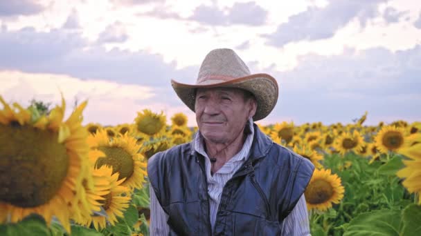 一个年长农民在向日葵地里的画像 农业商人背景在一片盛开的向日葵地里 头戴草帽的老年人 — 图库视频影像