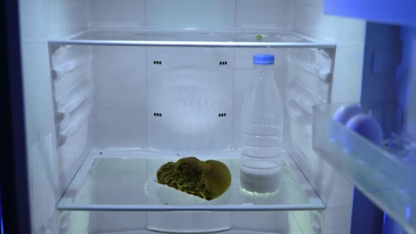 Чоловік Під Час Самоізоляції Шукає Їжу Холодильнику Залишив Їжу Холодильнику — стокове відео