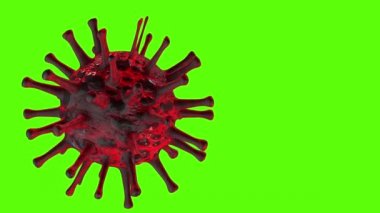 Coronavirus 2019-NCov. Yeşil ekran, kromakey. Mikroskop virüsü yaklaşıyor. 3D görüntüleme. Konsept SARS-CoV-2. Dünya salgını, virüsün yayılması. COVID-19. Grip, zatürree..
