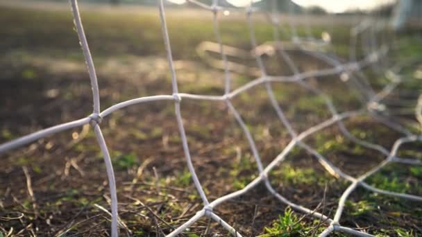 Voetbal Doelpunt Bal Vliegt Het Doel Voetbalspeler Scoort Een Doelpunt — Stockvideo