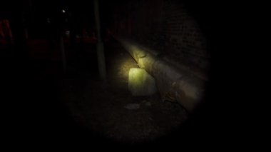 Bir polis fenerli bir adamı arıyor. Gece karanlığında arayın. Evsizlerin ve uyuşturucu bağımlılarının takıldığı bir yer. Eve geç döndüm. Geceleri fenerin objektifinde denekler. Kontrol ediliyor