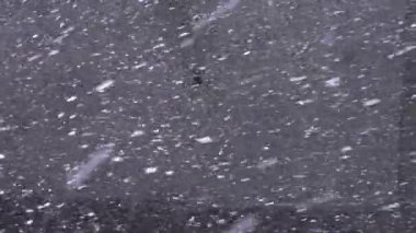 Kar taneleri gri asfalta düşer, manzaranın üstüne. İlk kar yağışı. Kaldırıma kar yağar. Ağır çekim. Kış havası. Soyut doğal arkaplan, hareket halindeki beyaz parçacıklar. 
