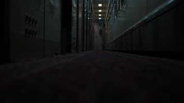 Tren vagonunda. Geceleri boş tren. Tren vagonu. Güçlü titreme. Koridor, yolcu vagonunun içi. Uzun bir yolculuk. Turist gezisi. Korkunç, ürkütücü, terk edilmiş bir yer. Az ışık. Korku.