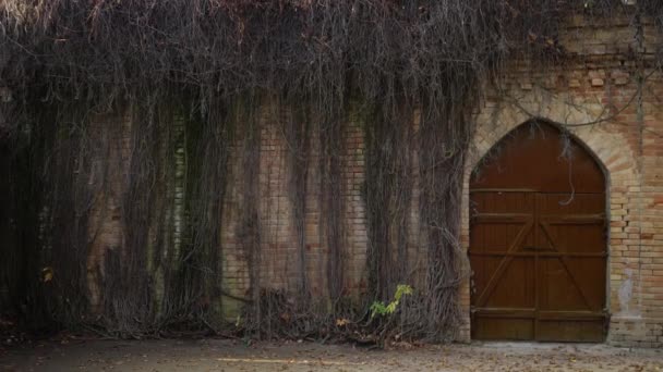 青い空に対するレンガの水の塔 ロック上の木製のドアを持つ古い円形の塔 ブドウ畑のタワー 姫の投獄の話 神秘的な場所 — ストック動画