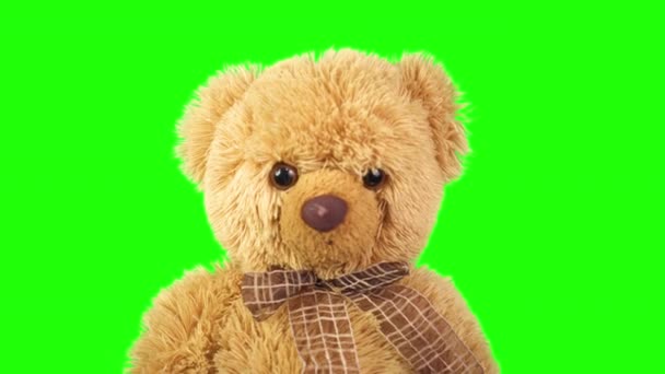 Teddybär Auf Grünem Hintergrund Kinderspielzeug Bewegung Lieblingsspielzeug Kindheit Tanzender Teddybär — Stockvideo
