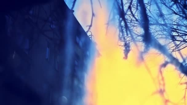 Esőcseppek Lefolynak Üvegen Nap Átsüt Nedves Ablakon Ködös Ablak Közelkép — Stock videók