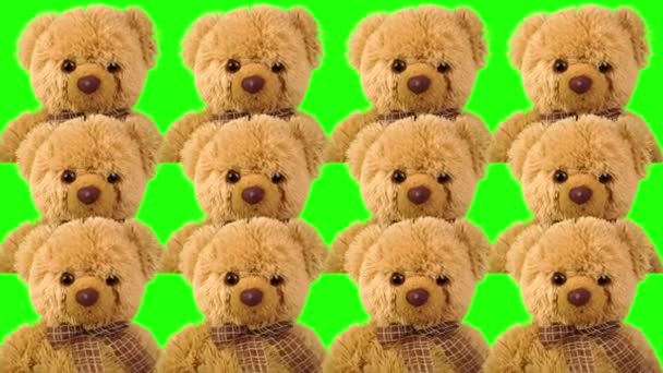 Teddy Bears Green Background Chroma Key Green Screen Children Toy — Stock Video