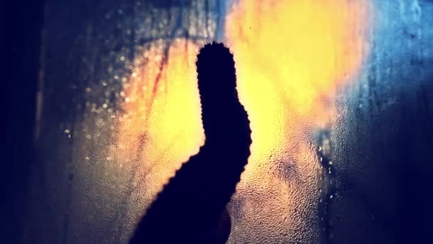 窗户上的仙人掌轮廓 窗外的夕阳 家里有刺的植物 仙人掌在雨滴落在窗上前 — 图库视频影像