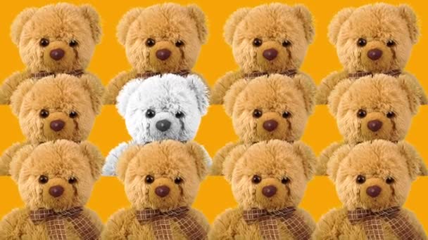 Cool Teddy Bear Dancing Teddy Bear Graphics Nightclub Concert Performance — Stock Video