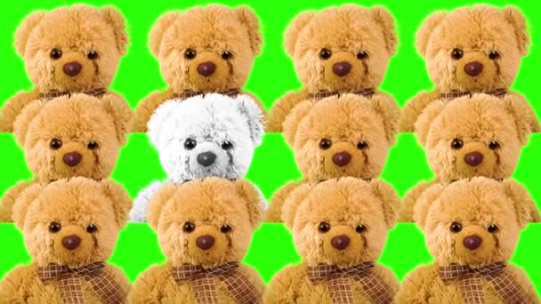 Крутий Джей Плюшевий Ведмідь Танцюючий Ведмідь Тедді Графіка Нічного Клубу — стокове відео