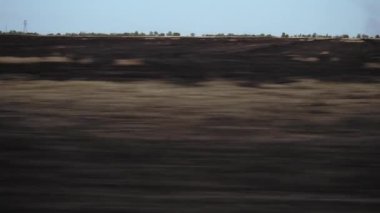 Yanmış tarla. Kuru çimenler kül oldu. Yanmış buğday tarlası. Ekoloji tehlikede. Yangından sonra toprak: Kuru zemin yanmış ve harap olmuş. Hızlı hareket eden bir araçtan yanmış çimlerin görüntüsü