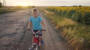 Bir çocuk kır yolunda bisiklete biner. Çocuk bisikleti. Aktif yaz tatili. Şehrin dışında bisikletiyle gezen mutlu çocuk. Bir çocuk ayçiçeği tarlasının yanında at sürüyor. Gün batımı. Sabah bisikleti.