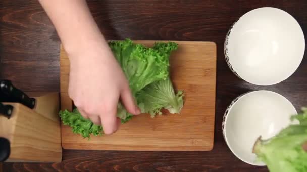 Schneiden von Salat zur Zubereitung von Speisen — Stockvideo