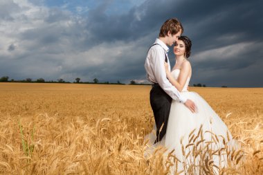Genç gelin ve damat buğday alanında dramatik gökyüzü ile poz