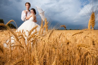 Gelin ve damat backgrou üzerinde dramatik gökyüzü buğday alanı