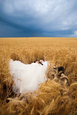 Gelin ve damat bir buğday alanında aşık evli