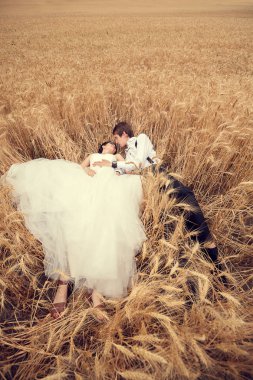 Sadece evli çift buğday alanında yalan