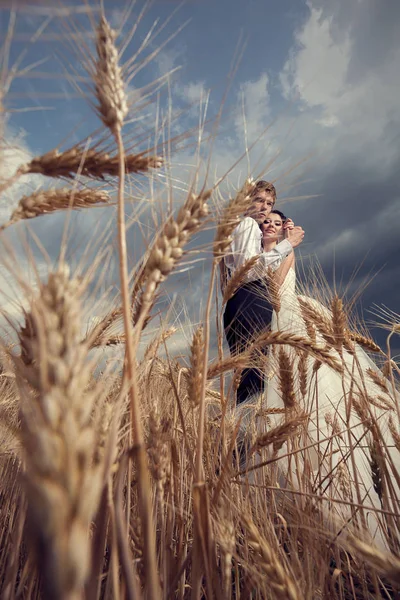 Feliz enamorada recién casada en el campo de trigo — Foto de Stock