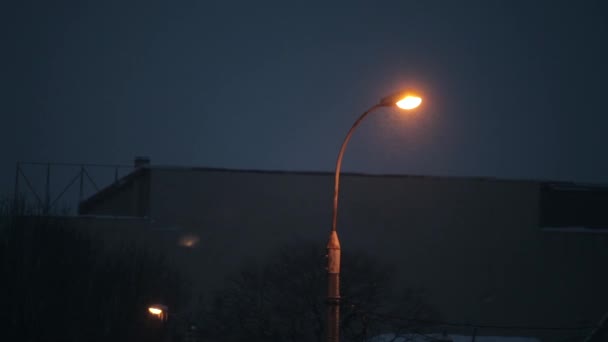 Snöfall på vintern genom en gatan strålkastare — Stockvideo