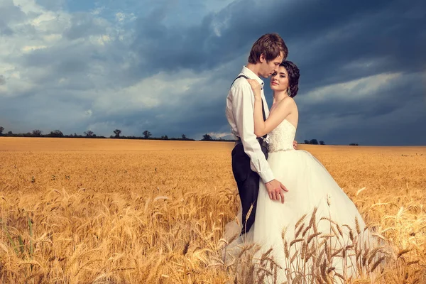 Belo casal recém-casado no campo de trigo — Fotografia de Stock