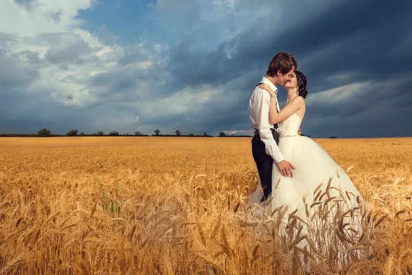 Vackra bruden och brudgummen i vetefält — Stockfoto