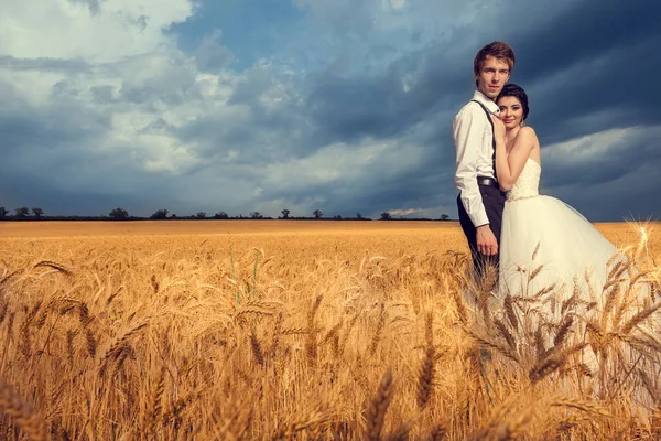 Hermosos novios en el campo de trigo — Foto de Stock