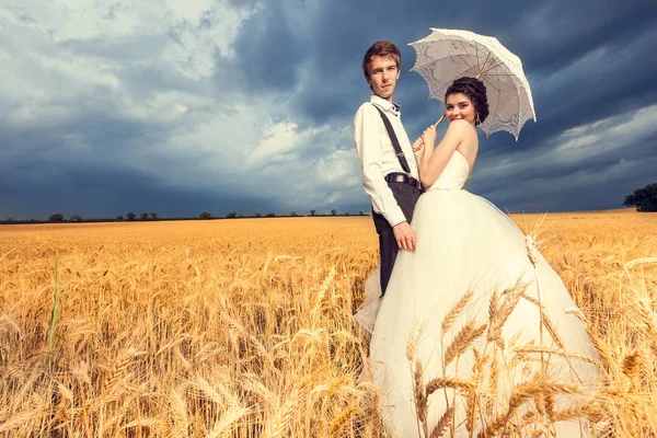 Amorosa novia y novio en el campo de trigo con el cielo azul en la espalda — Foto de Stock