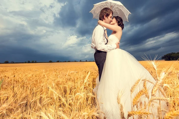Amorosa novia y novio en el campo de trigo con el cielo azul en la espalda — Foto de Stock
