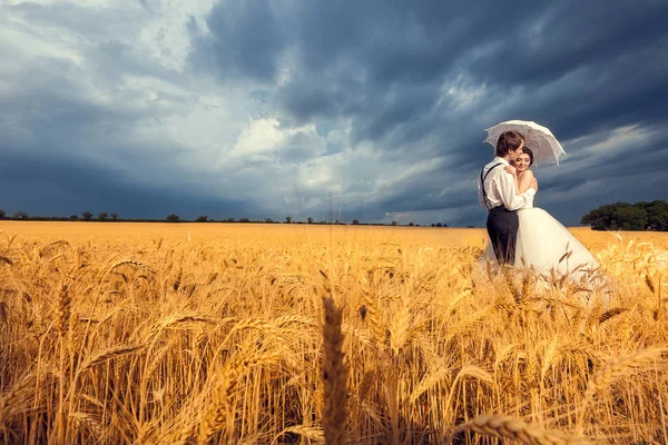 Splendidi sposi nel campo di grano con cielo blu nel bac — Foto Stock