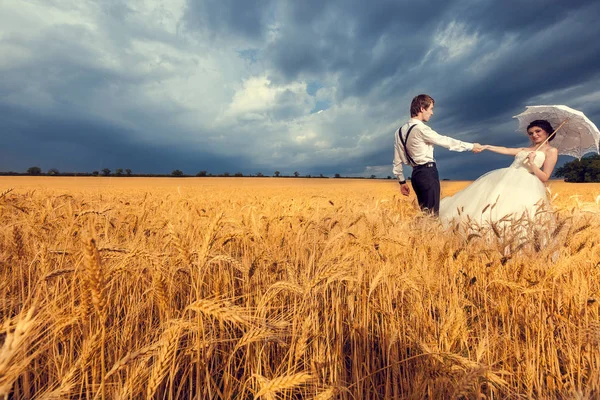 Linda noiva e noivo no campo de trigo com céu azul no bac — Fotografia de Stock
