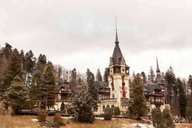Sinaia üzerinden Peles Kalesi kışın güzel manzarasına. Romanya