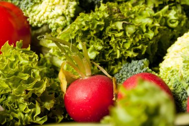 Farklı türde sebze masanın üzerine bir