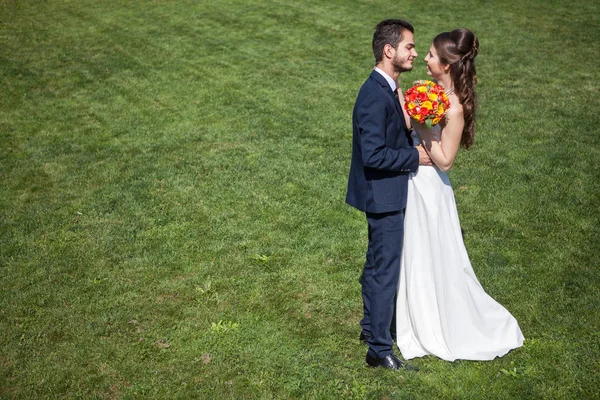 Feliz esposa y novio en el campo de hierba en el soleado día de verano — Foto de Stock