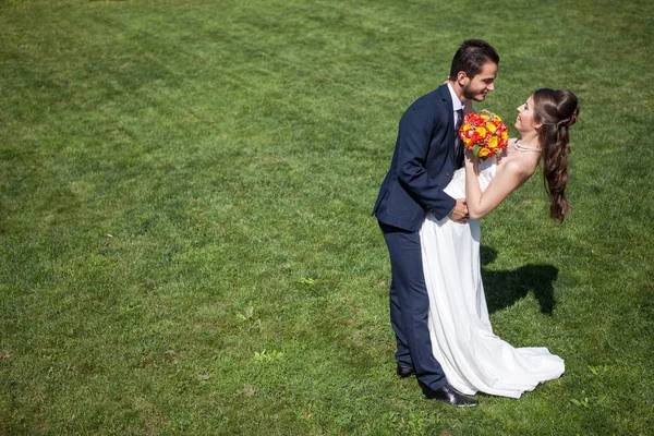 In love wife and groom on grass field in sunny summer day — Stock Photo, Image