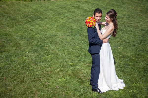 Embrasser la femme et le marié sur le champ d'herbe dans la journée ensoleillée d'été — Photo