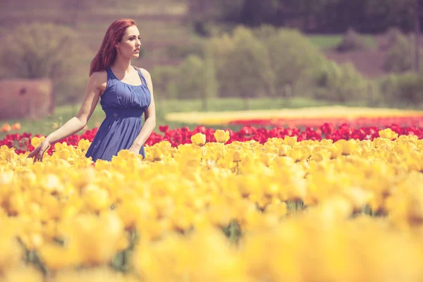 Gorgeous woman in blue dress in flower field in sunny day