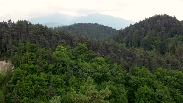 Paisagem de montanha no verão com árvores verdes — Vídeo de Stock