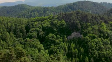 Kadar yaz yeşil ağaçlar ile dağ manzarası üzerinde kaydırma.