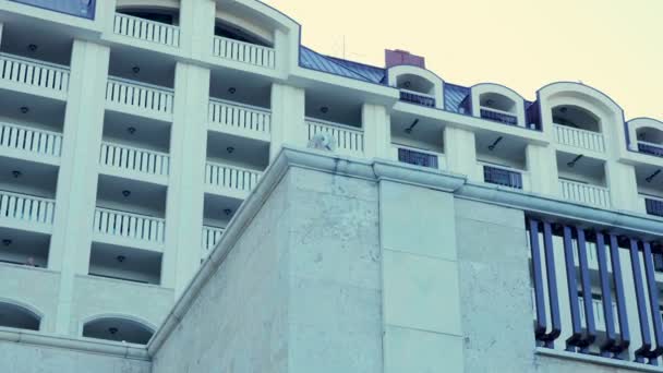 Gaivota em pé sobre um hotel ao lado do mar — Vídeo de Stock