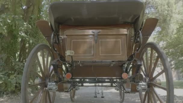 Retro vintage carriage drawn by a horse — Stock Video