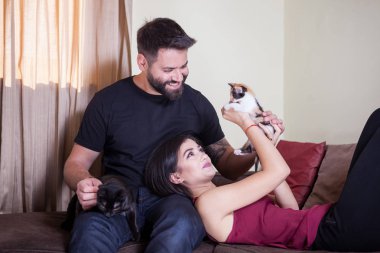 Muhteşem güzel genç çift holding kediler elinde