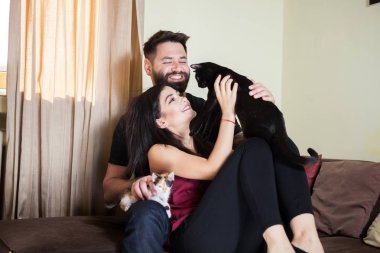 Muhteşem güzel genç çift holding kediler elinde