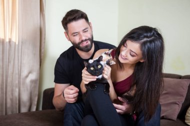 Muhteşem güzel genç çift holding kediler elinde